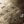 Qlocktwo Earth 90 Creators Edition Gold