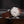 Antarctic EggShell Beige Luminova | 32080A04