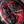 Bomberg Apex Carbon MZ - The Independent CollectiveBomberg Apex Carbon MZ 
