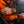 Bomberg Apex Carbon OG - The Independent CollectiveBomberg Apex Carbon OG 
