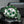 FORTIS Novonaut N-42 TR - Halo Green - The Independent CollectiveFORTIS Novonaut N-42 TR - Halo Green F2040023