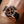 Jacob & Co. Epic X Chrono 44m - Rose Gold and Black Ceramic - The Independent CollectiveJacob & Co. Epic X Chrono 44m - Rose Gold and Black Ceramic EC430.43.AB.AA.A