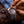 Super Antarctic 3.6.9 Tropical | 32031A01 - The Independent CollectiveSuper Antarctic 3.6.9 Tropical | 32031A01 