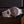Super Antarctic 3.6.9 Tropical | 32031A01 - The Independent CollectiveSuper Antarctic 3.6.9 Tropical | 32031A01 