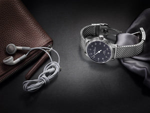 MeisterSinger : Nº3 43mm - The Independent Collective AM903